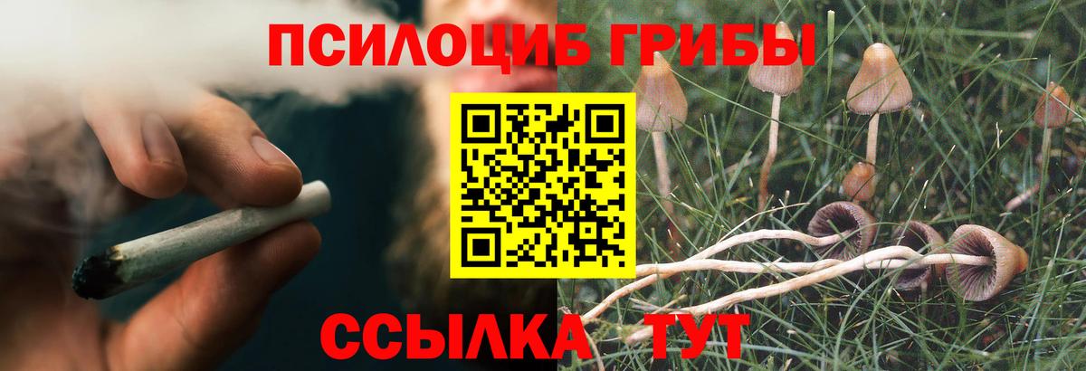 Галлюциногенные грибы Magic Shrooms  Псилоцибиновые грибы GOLDEN TEACHER  Вход с VPN  купить   Ухта 